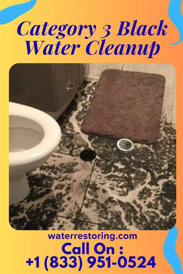 Category 3 Black Water Cleanup in Timpson, TX