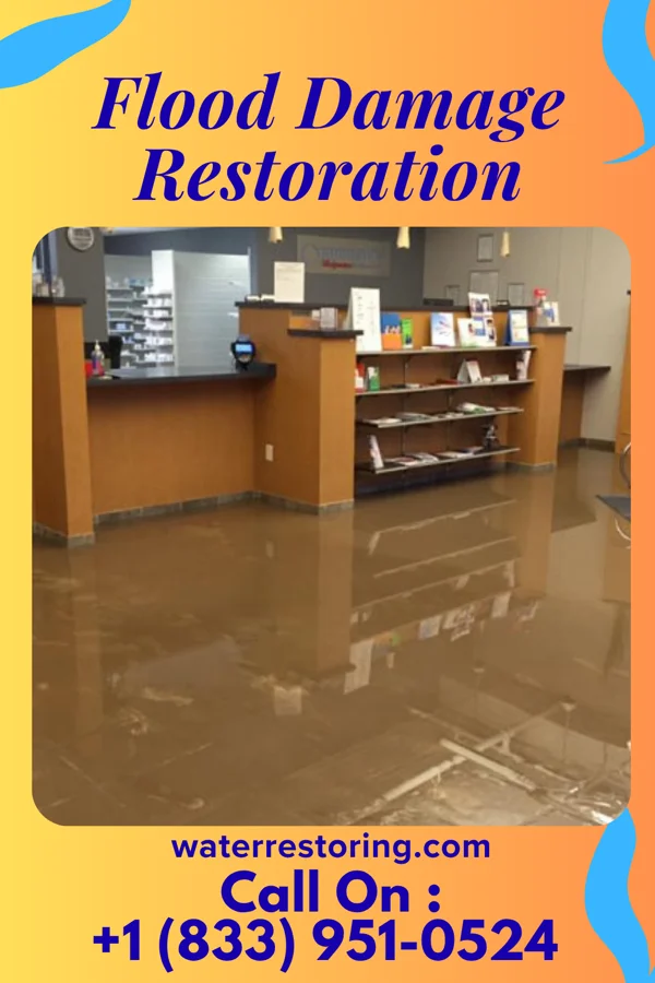 Flood Damage Restoration in Timpson, TX