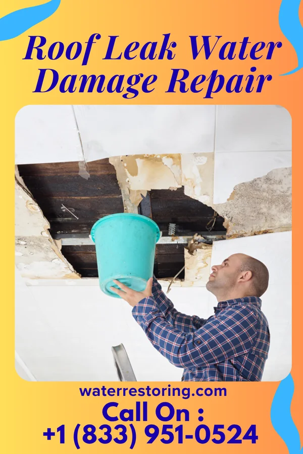Roof Leak Water Damage Repair in Timpson, TX